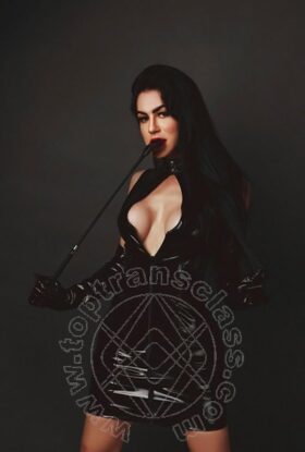 YAH TAVAREZ Trans